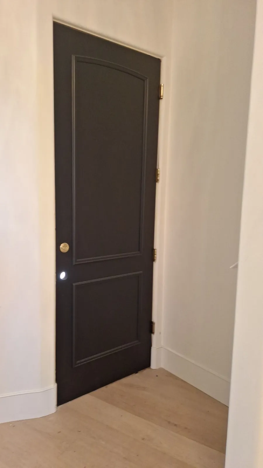 Two-panel interior door painted black, set in a white wall with a light wood floor